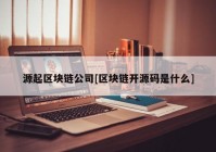 源起区块链公司[区块链开源码是什么]